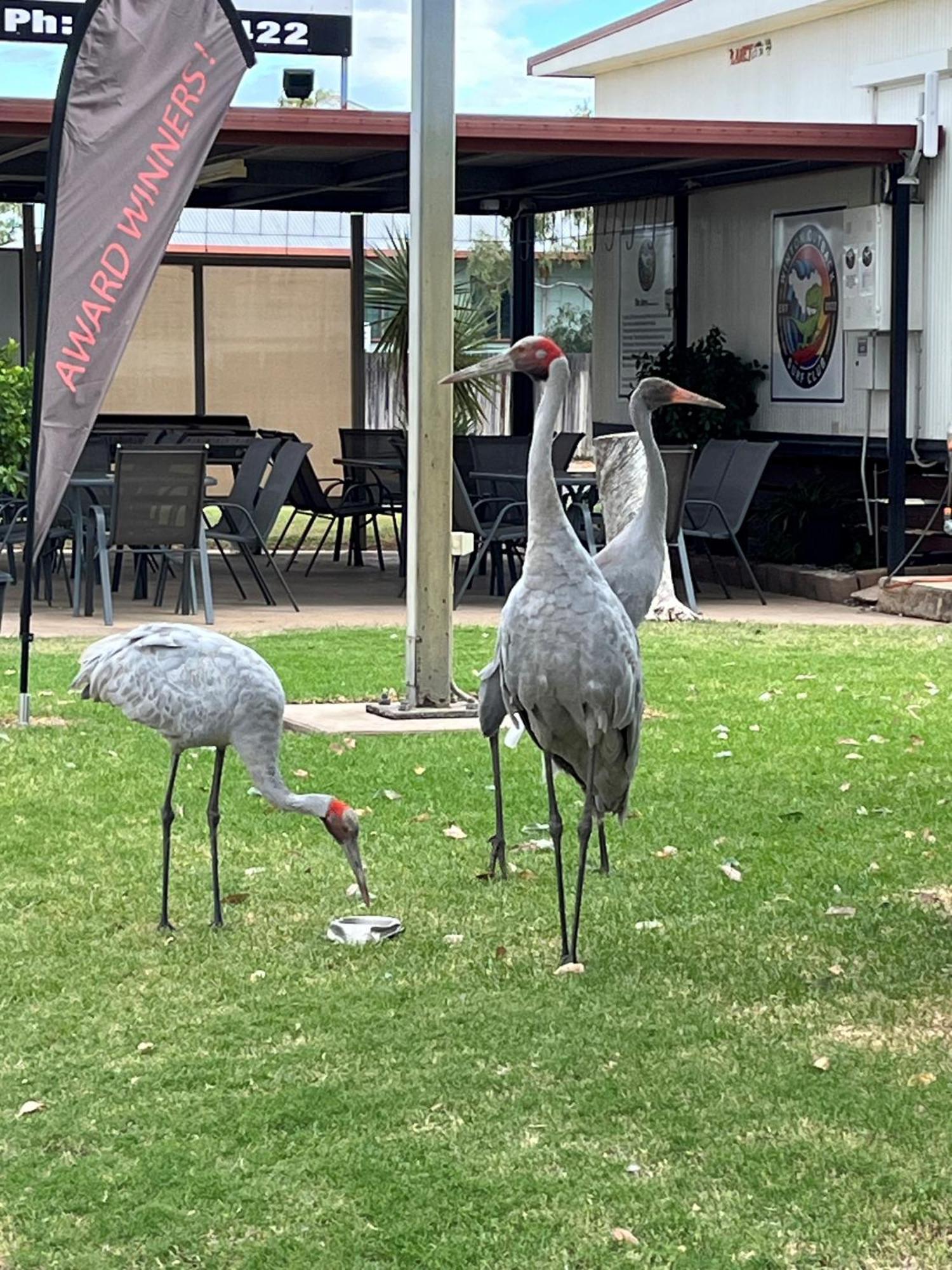 Winton Outback Motel Luaran gambar