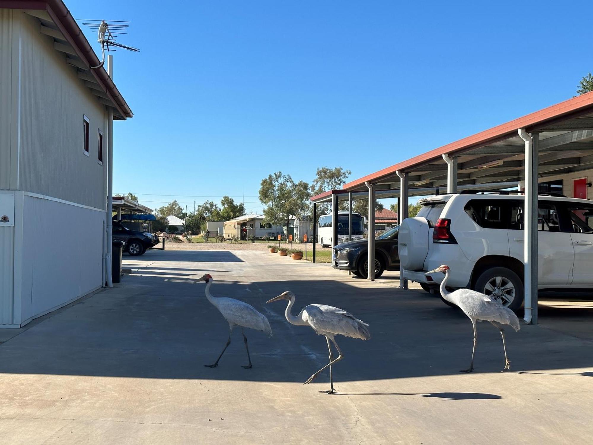 Winton Outback Motel Luaran gambar